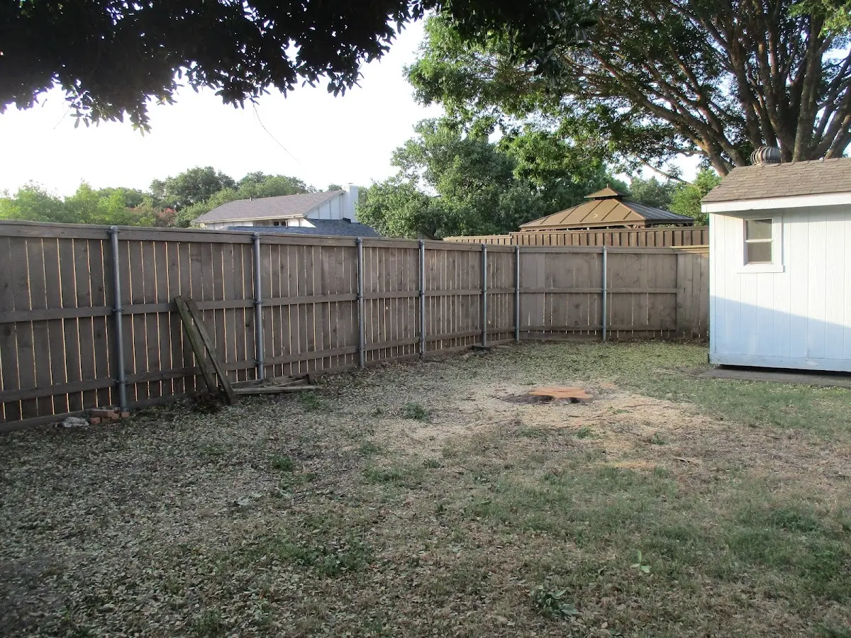 Cleared yard after professional tree removal in Fort Blackmore