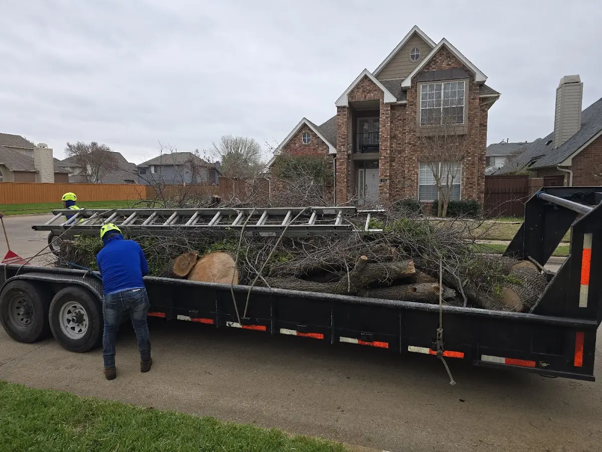 Expert Tree Removal with proper safety equipment in Fort Blackmore